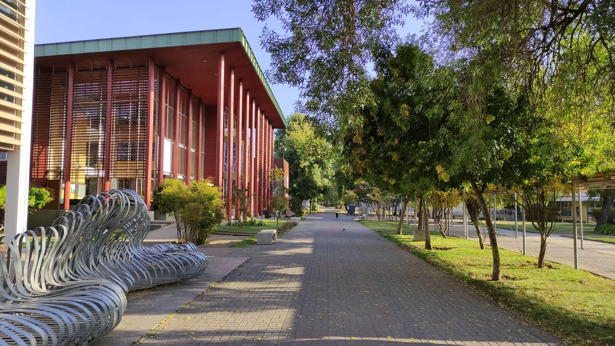 paseo arbolado del campus de la Universidad del Bío-Bío, en Concepción